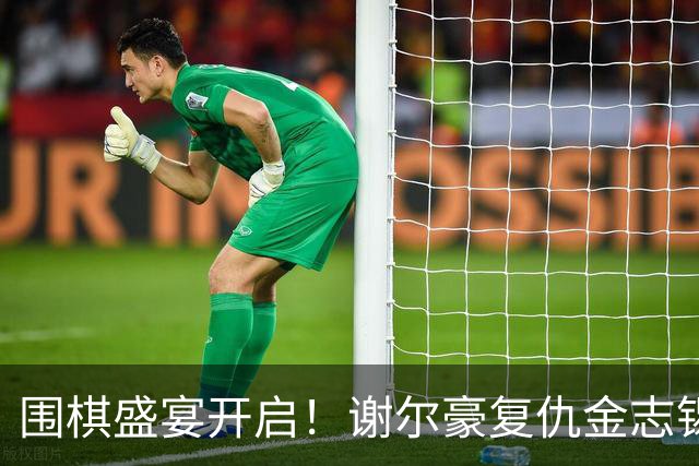 围棋盛宴开启！谢尔豪复仇金志锡，赵晨宇剑指申真谞